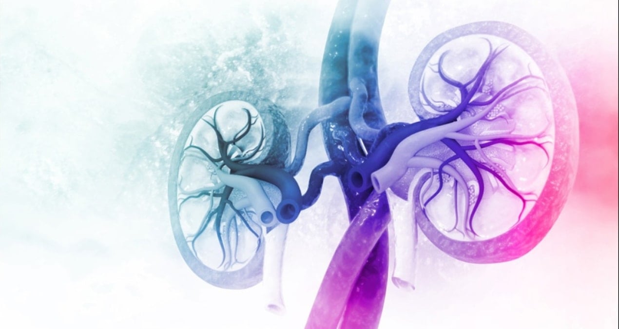 bobreklerinizi boyle koruyun DvVCKkXk