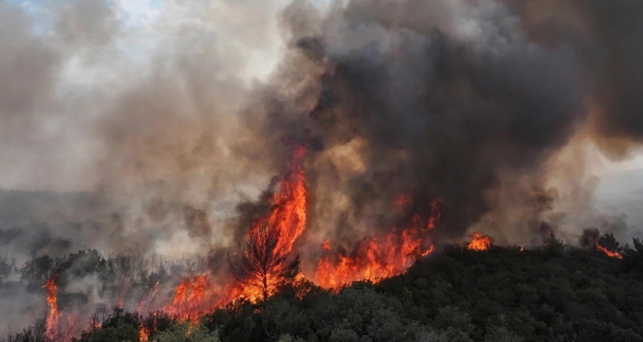 edirne ipsalada aniz yangini agaclik alana sicradi 1SrHl4sj