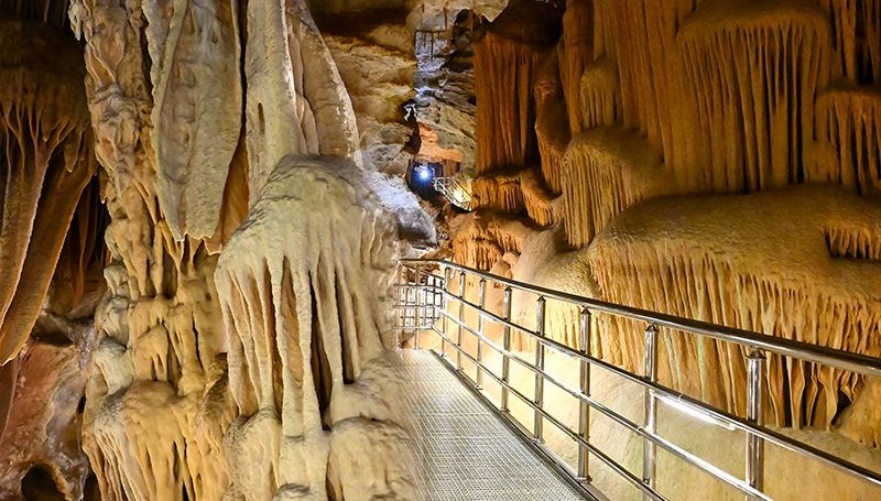 gumushanedekikaraca magarasinaturist akini NOfrYtfW