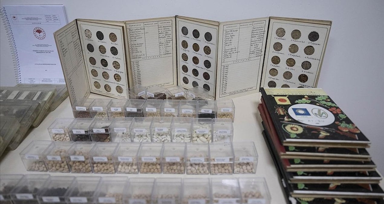 turkiyede 4 bin 500 turden 122 bin tohum gen bankalarinda korunuyor XaNjYSUd