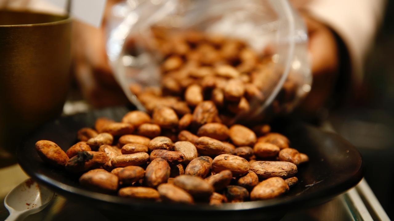 bir fincan kakaonun sasirtici faydasi 8Ind8Bvl.jpg