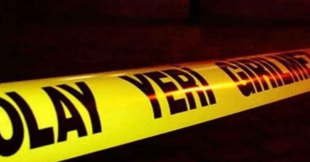 duzcede ormanda traktor kazasi 1 olu 7y48ZghF