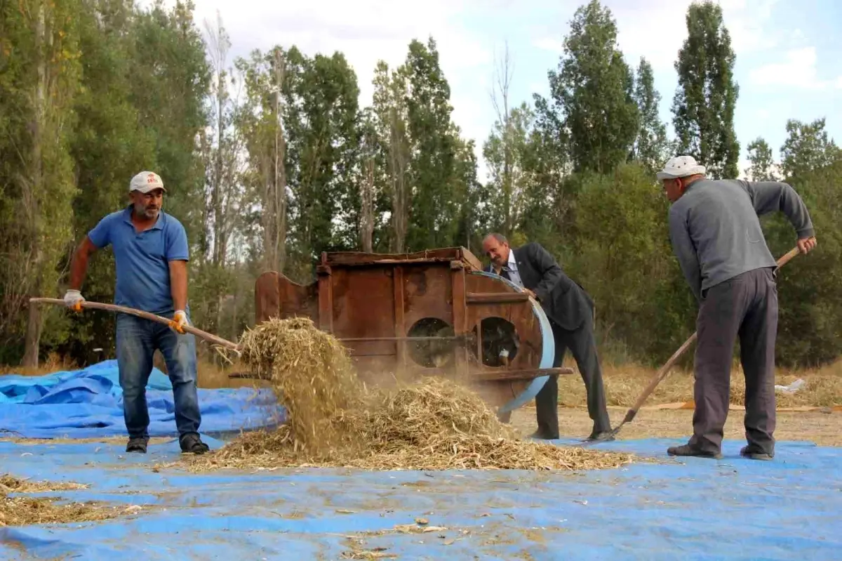 geleneksel yontemlerle ata tohumu fasulye uretimi DbfdHnlA