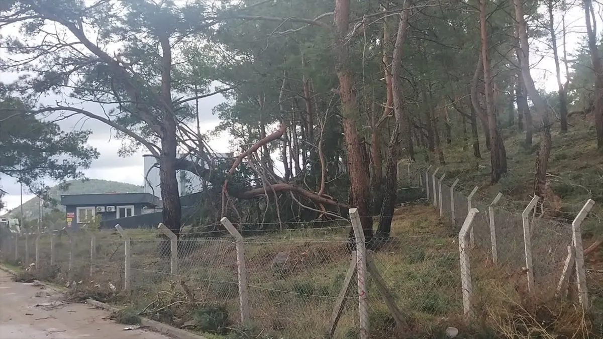 havranda siddetli ruzgar hasara yol acti kDsQv3eN.jpg