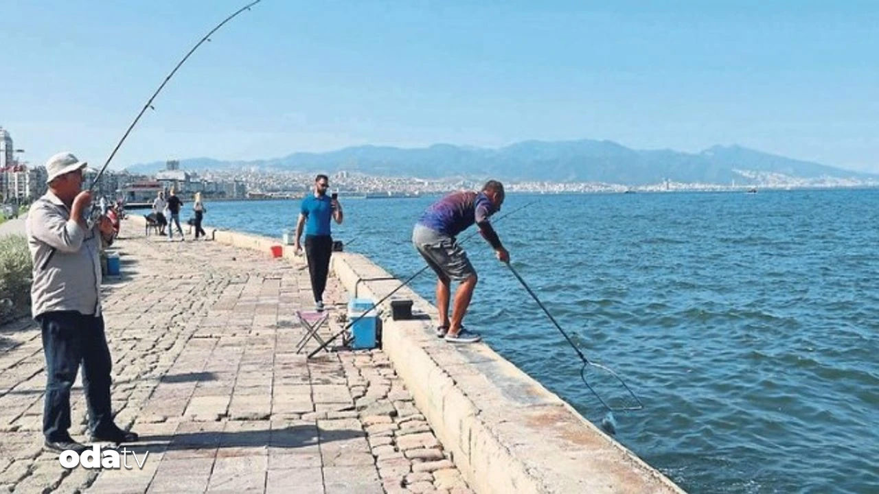 izmirde korkunc olay oltaya insan kafasi takildi EStpJwWv.jpg