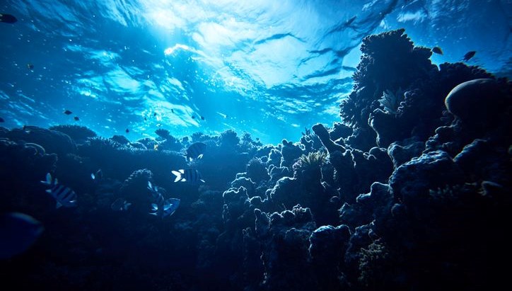 okyanusun altindan siziyor antarktikada sasirtan kesif 96Ihx7z8